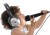 Kleine Dancing-Stars
